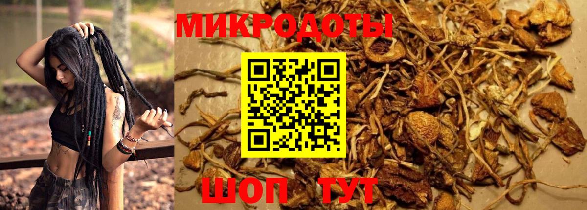 Псилоцибиновые грибы ЛСД Кумертау